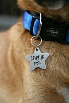 Personalized Dog Tag with Nam