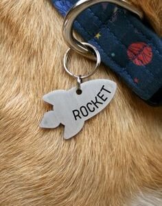 Personalized Dog Tag with Name, Customized Name Tag for Dog and Puppy
